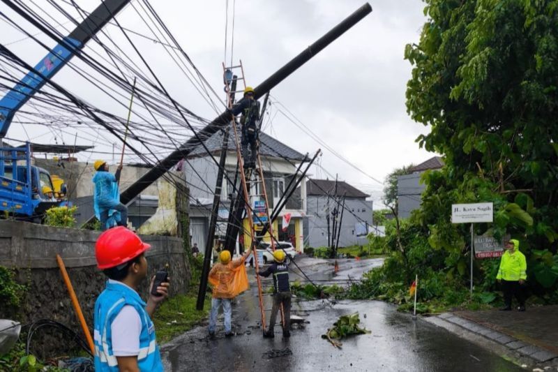 PLN Bali Percepat Pemulihan Jaringan Listrik Pasca Cuaca Ekstrem