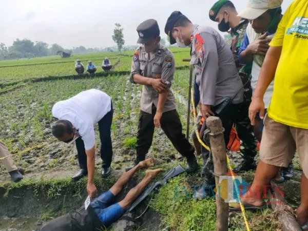 Banyak Korban Jiwa Akibat Jebakan Tikus Beraliran Listrik, Solusi Jadi Pekerjaan Rumah Pemerintah dan Petani