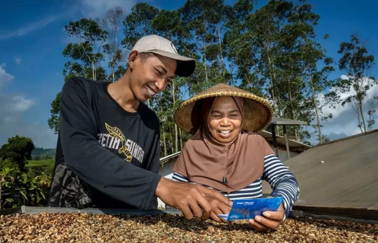 KUR BRI Dorong Pertanian Jadi Sektor Unggulan Nasional