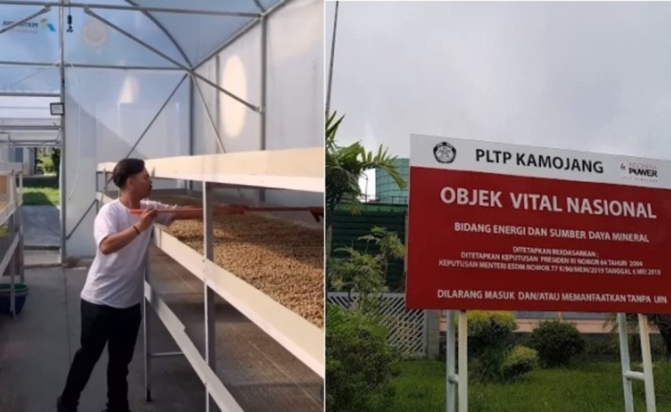 Energi Hijau Panas Bumi Bawa Kopi Kamojang Mendunia