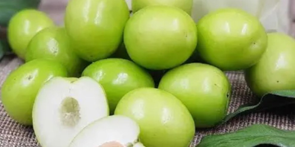 Intip 10 Khasiat Buah Bidara Arab bagi Kesehatan Tubuh