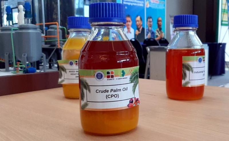 Harga CPO Bangkit Setelah Dua Hari Turun Tipis