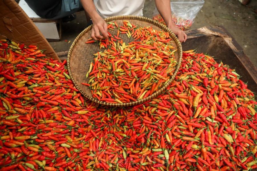 Harga Cabai Rawit Tembus Rp115.000, Ayam Ras Rp50.000 Hari Ini