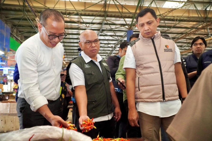 Pemerintah Pastikan Batas Kewajaran Harga Bahan Pokok Melalui Program Pemantauan Intensif