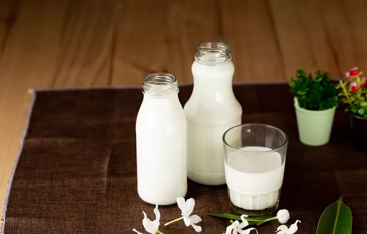 Wajib di Coba! 5 Kedai Susu Segar Legendaris di Malang, Favorit Wisatawan Sejak Dulu