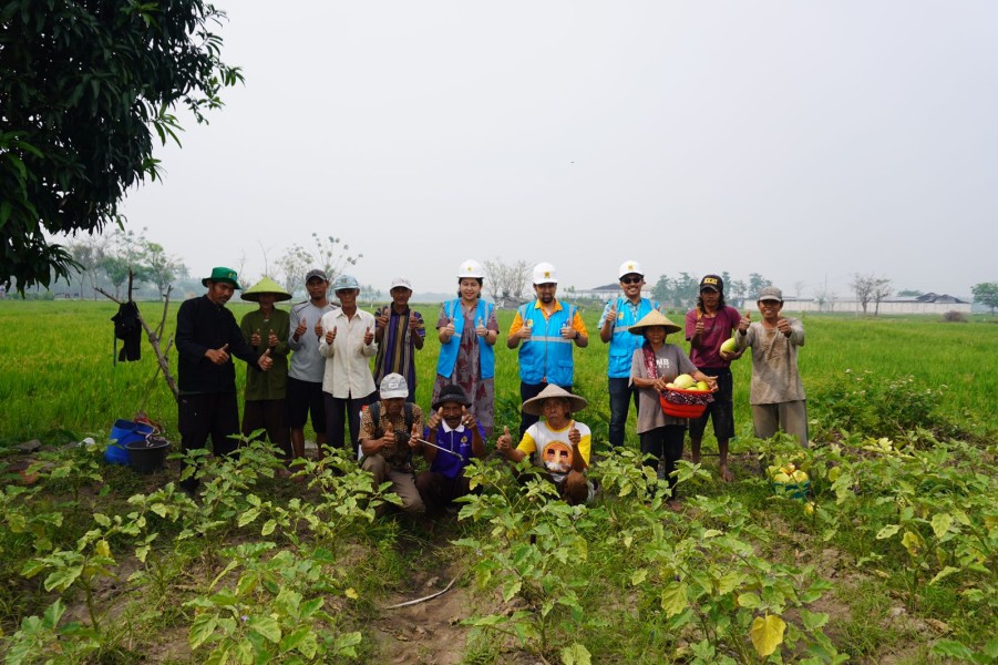 Program Electrifying Agriculture PLN Dorong Pertanian Modern dan Produktivitas Sumba