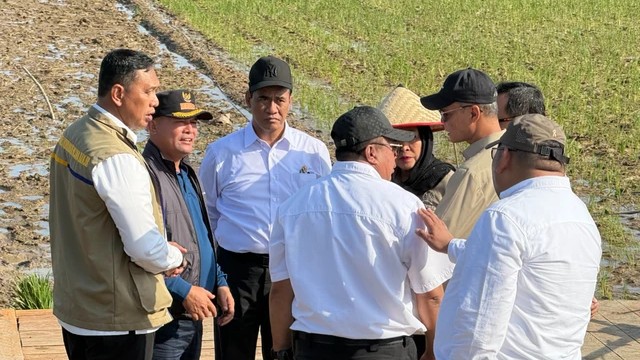 Mendagri Apresiasi BULOG dan BAPANAS Jaga Stabilitas Harga Pangan Bencana Sumatera