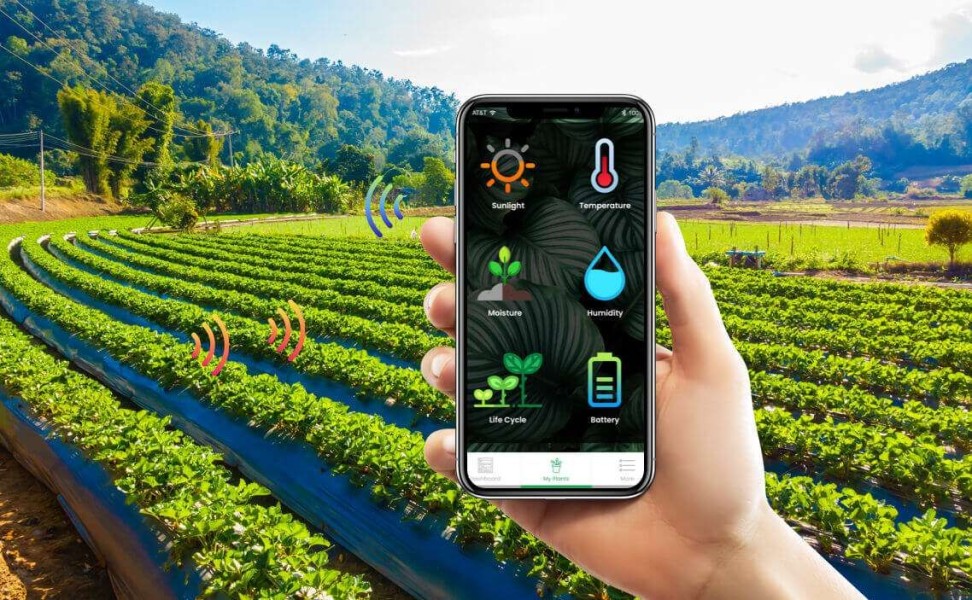 Petani Indonesia Adaptif Hadapi Era Digital, Teknologi Jadi Penopang Pertanian Modern