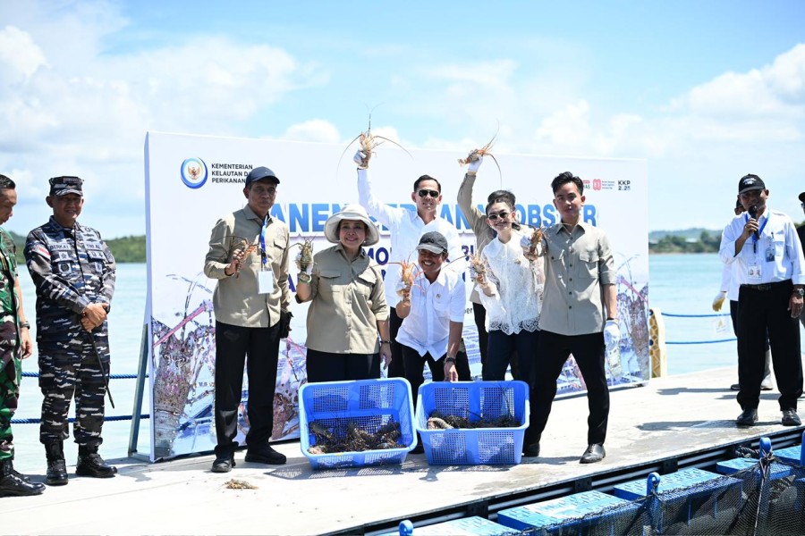 Gibran Apresiasi Panen Lobster dan Dorong Ekonomi Nasional Berkelanjutan