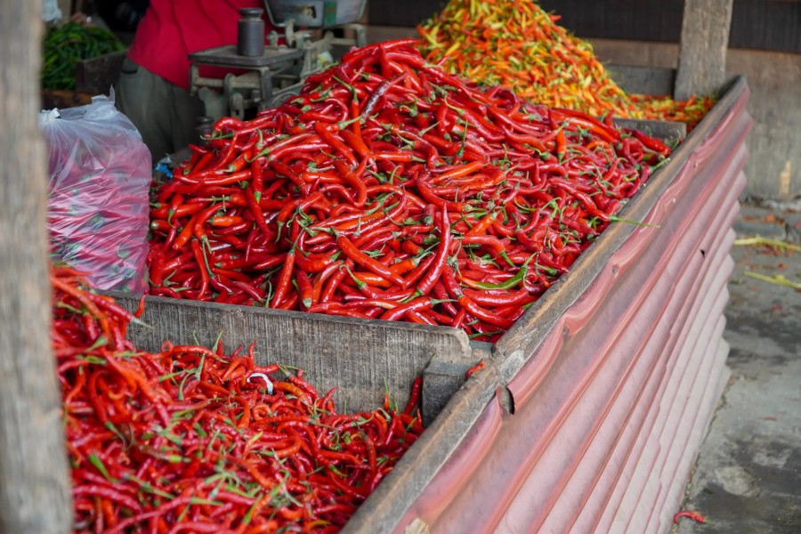 Laporan PIHPS 18 Februari 2026 Harga Cabai Rawit Merah Rp89.350 Serta Telur Ayam Rp32.450