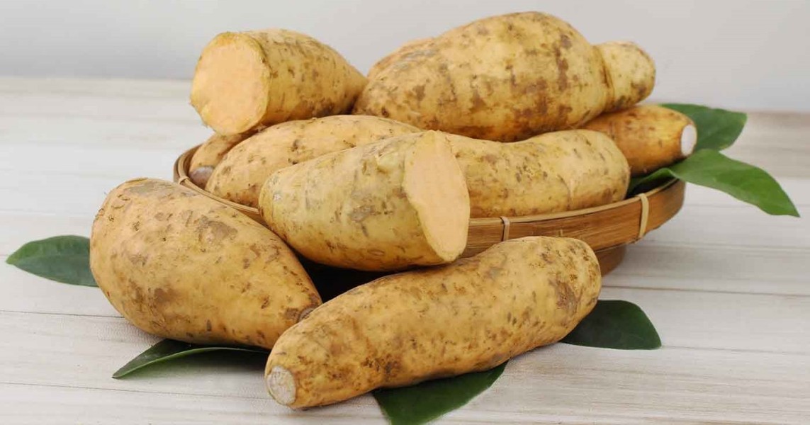 Panduan Praktis Memilih Ubi Cilembu Berkualitas Berdasarkan Warna Dan Tekstur