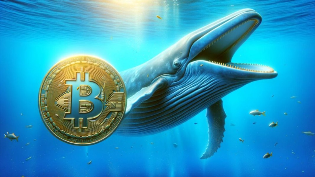 Tiga Aset Crypto Favorit Whale dan Investor Besar