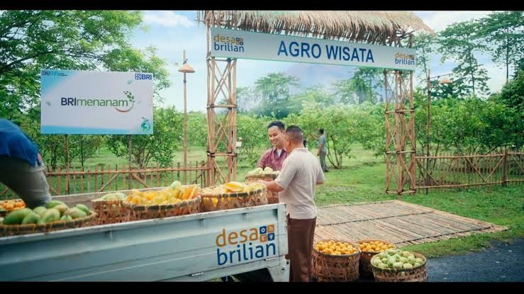 Kolaborasi BRI dan BUM Des Dorong Transformasi Ekonomi Desa, dari Lahan Hortikultura ke Destinasi Wisata