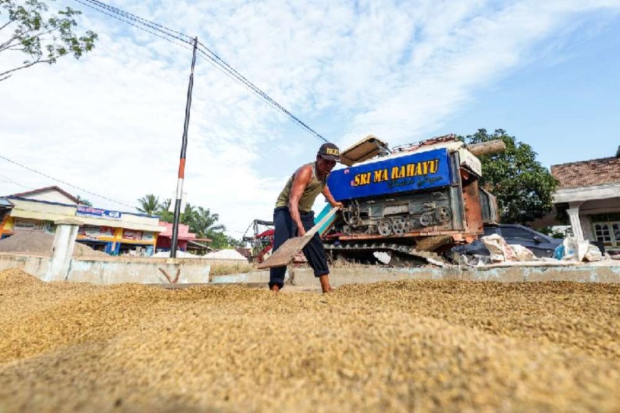 Bulog Siapkan Sistem Pembayaran Digital Gabah Petani Tahun 2026