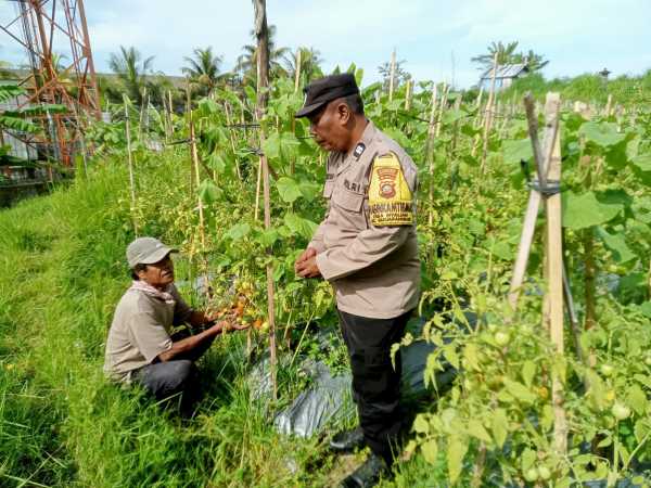 Dukung Ketahanan Pangan Nasional, Bhabinkamtibmas Desa Kepet Aktif Sambangi Petani di Sawah