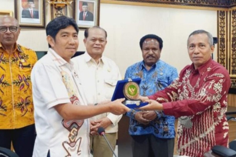 Dorong Keadilan Energi, Pemerintah Targetkan Papua Terang Dalam 5 Tahun