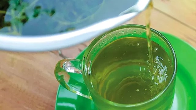 Cara Membuat Air Rebusan Meniran Aman Untuk Kesehatan