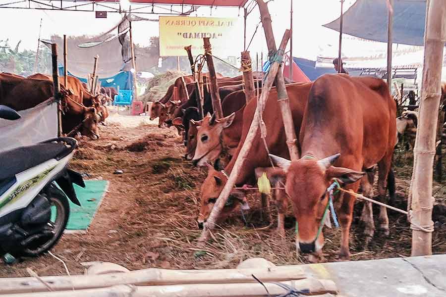 Jelang Idul Adha 2025, Anggota DPRD Subani Desak Pengawasan Ketat Harga Sembako dan Hewan Kurban di Seruyan