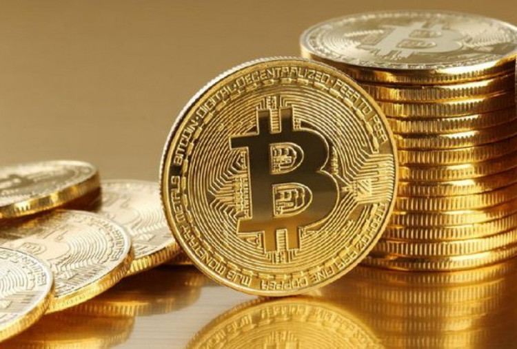Flexi Earn PINTU: Menabung Crypto Panen Cuan Tiap 12 Jam