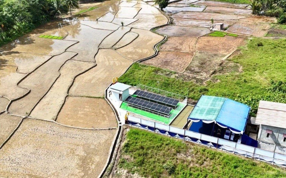 PLTS Irigasi Dorong Petani Muara Enim Panen Tiga Kali Setahun