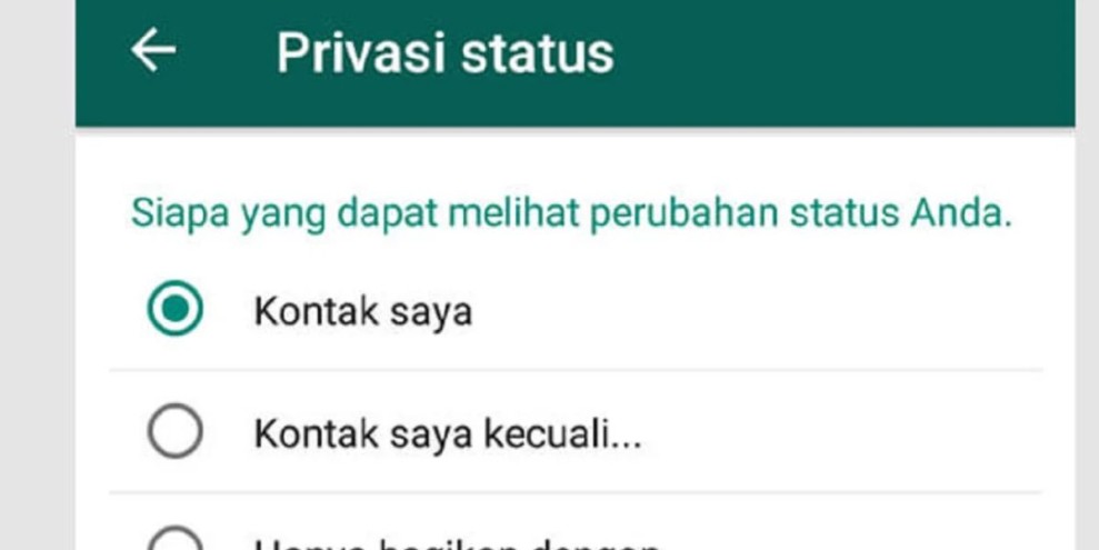 Cara Privasi Status WhatsApp untuk Menjaga Privasi di Tahun 2026