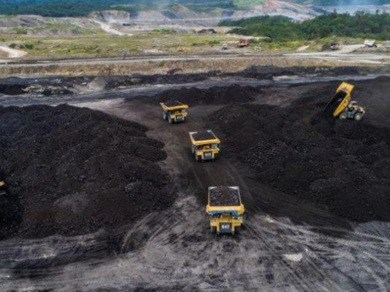 Tambang Batu Bara Ancam Kebun Raya Samarinda, Luas Galian Capai 3 Hektare