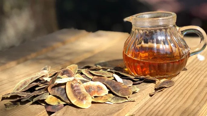 Sering Sembelit Ini Lima Minuman Alami Bikin Pencernaan Lebih Lancar