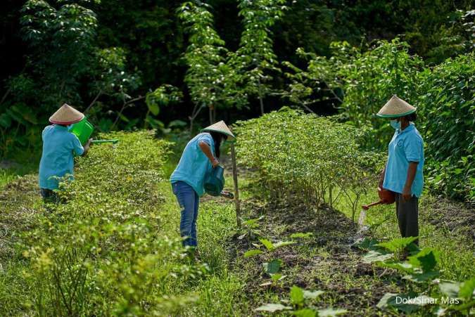 Sinar Mas Agribusiness Dorong Inovasi Berkelanjutan Tingkatkan Ketahanan Pertanian
