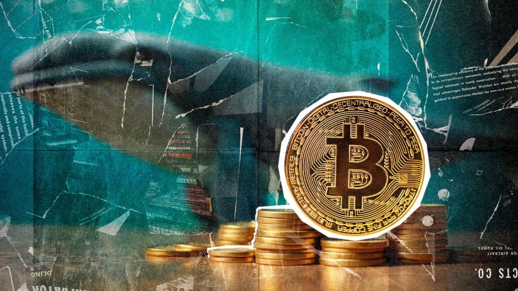 Crypto Whale Serbu Altcoin Usai Regulasi Baru AS
