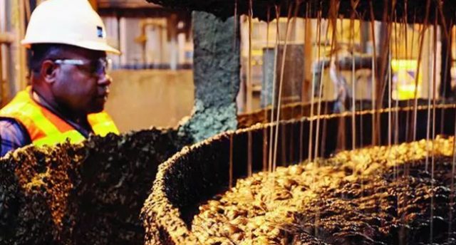 PT Freeport Indonesia Setor Kontribusi Rp7,73 Triliun untuk Pembangunan Ekonomi Nasional dan Daerah
