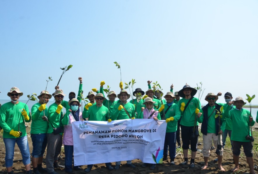 Hari Lingkungan Hidup dimanfaatkan PLN Pusmanpro untuk bangkitkan kesadaran ekologis melalui pelestarian mangrove