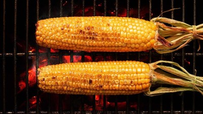 10 Rekomendasi Jagung Bakar Yogyakarta Terfavorit Dengan Ragam Rasa 2025