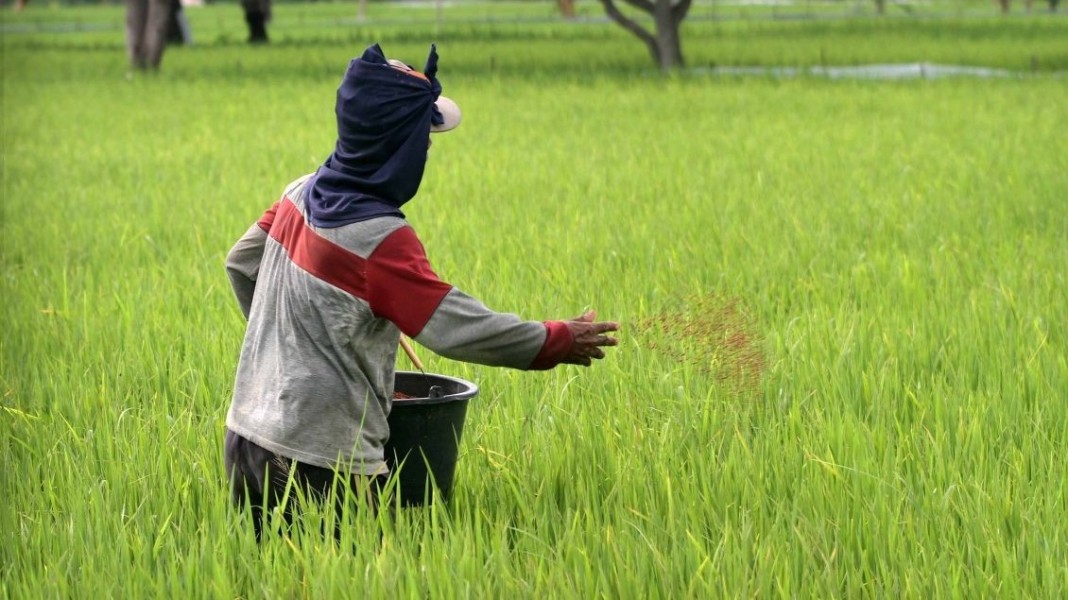 Harga Pupuk Bersubsidi Turun, Membantu Petani Persiapkan Musim Tanam
