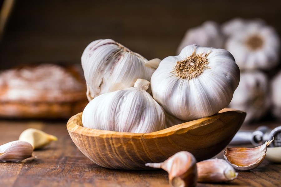 6 Cara Menanam Bawang Putih, Manfaat, dan Cara Menyimpannya