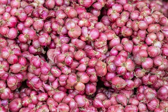 Harga Pangan Bali Hari Ini 30 Oktober 2025, Bawang Merah Melonjak