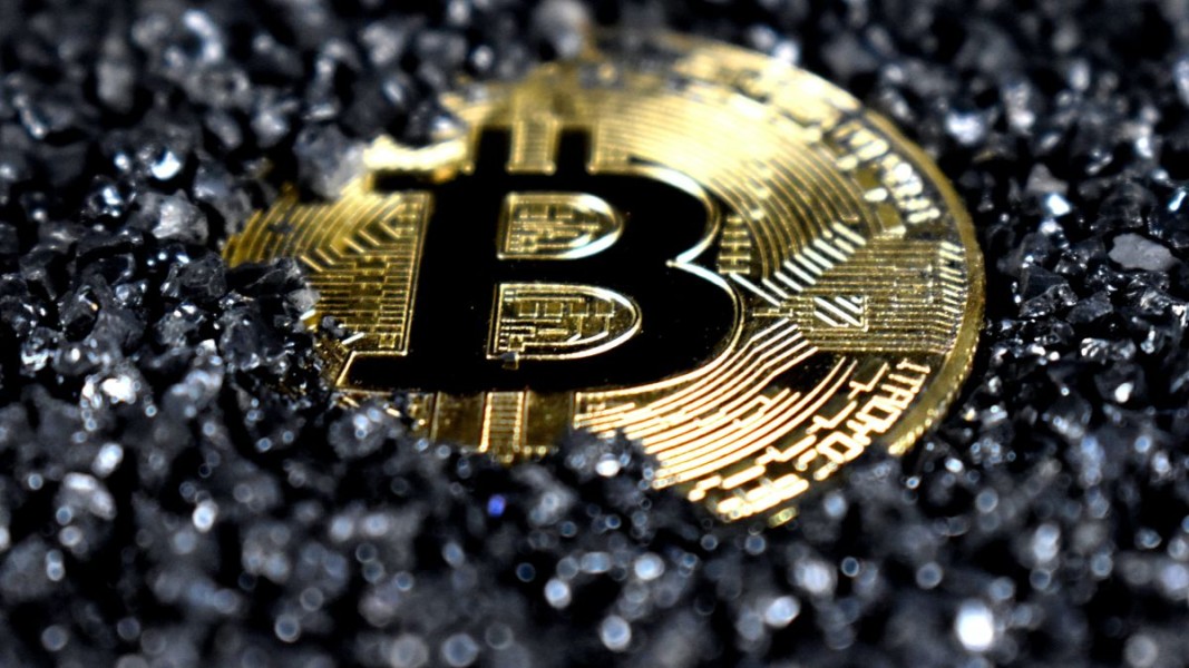 Tiga Crypto Paling Menguat di Hari Anak Nasional 2025