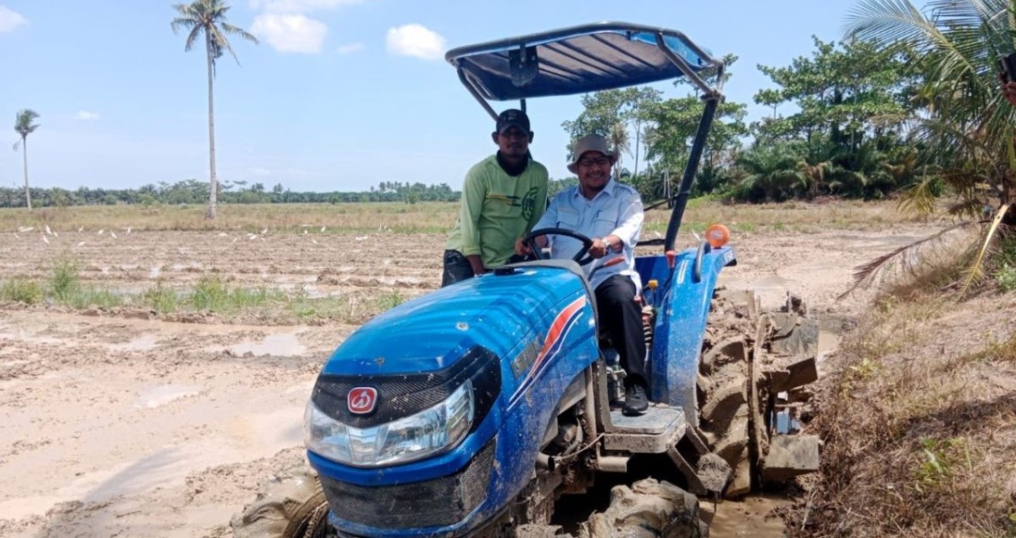 Petani Percepat Masa Tanam dengan Traktor Baru, Produksi Padi Melonjak