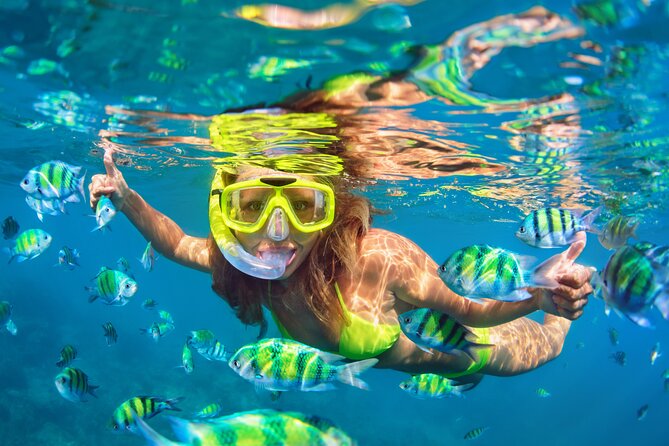 Snorkeling: Cara Menikmati Keindahan Laut Secara Aman