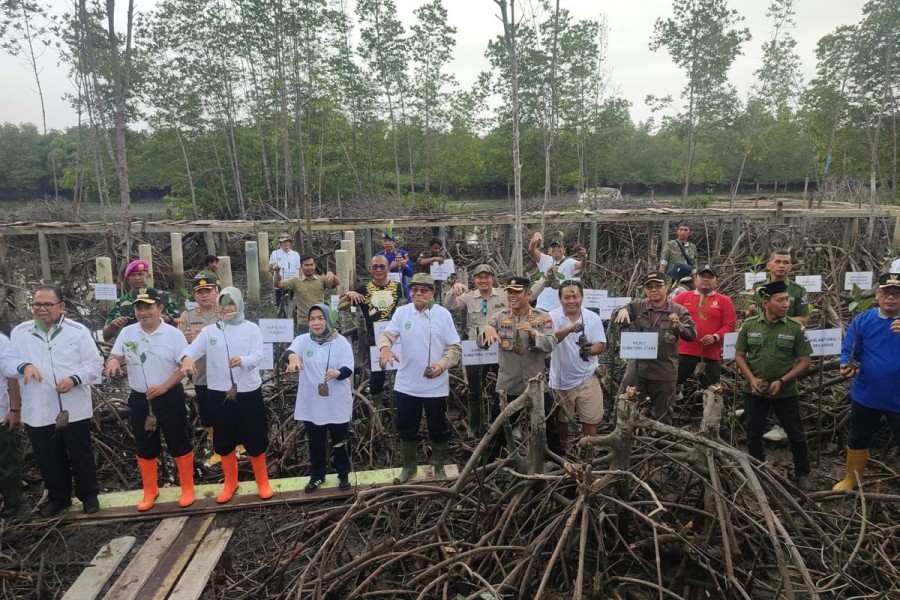 Restorasi Mangrove di Sumatra Utara Contoh Sukses Sinergi Komunitas dan Pertamina