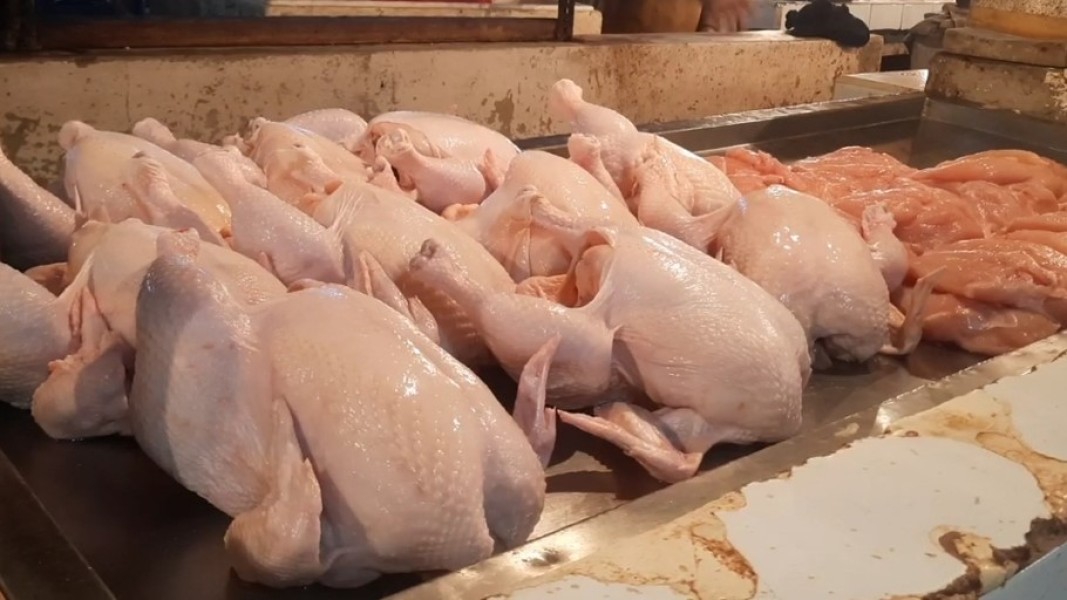 Harga Daging Ayam Naik, Warga Medan Optimis Pasokan Terjaga