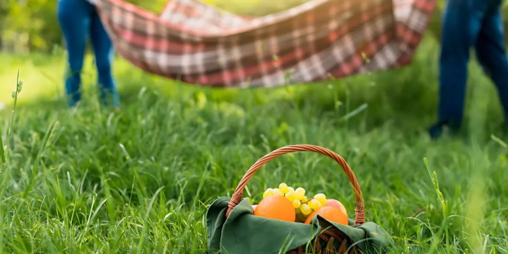 10 Tempat Piknik di Jakarta dengan Lokasi Apik, Murah Meriah