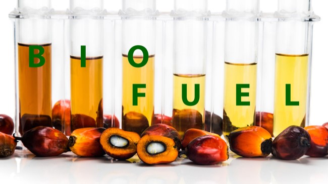 Hilirisasi Sawit Dipercepat Demi Implementasi Biofuel Berkelanjutan 2026