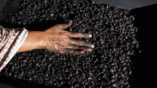 Petani Kopi Indonesia Didorong Hadapi Tantangan Industri Global