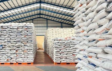 Bulog Optimis Capai Target Penyerapan Beras Nasional Empat Juta Ton 2026 Meski Bencana Melanda Sumatera