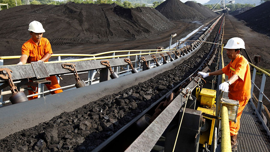 PTBA Siapkan 800 Juta Ton Batu Bara untuk Hilirisasi Nasional