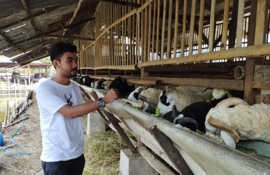5 Peluang Bisnis Menguntungkan Menjelang Idul Adha 2025