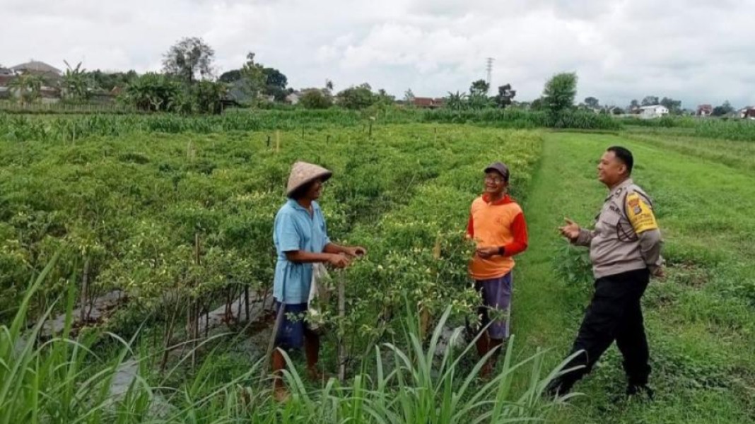 Petani Semangat Berdaya Lewat Dukungan Polisi Desa