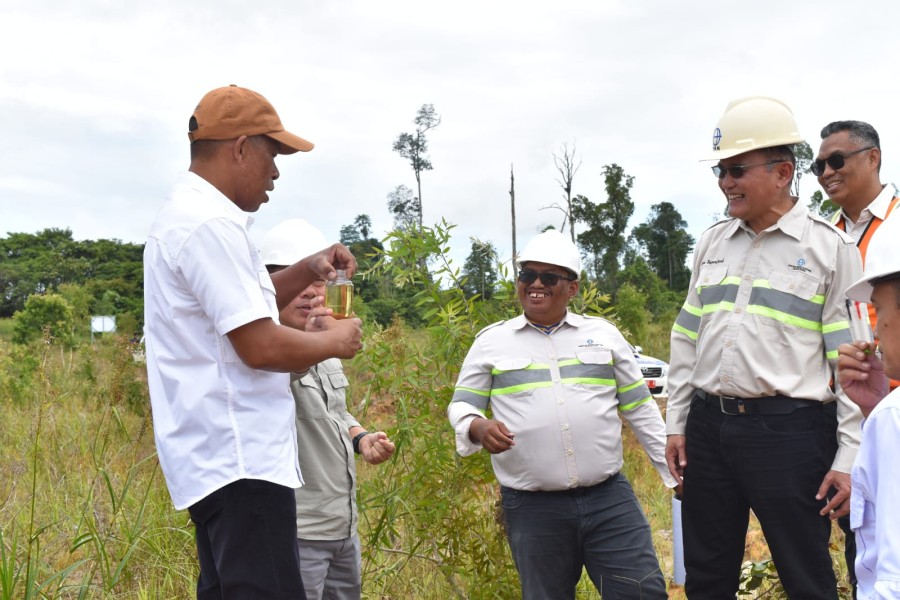 Lahan Bekas Tambang Kelubir Disulap Menjadi Pusat Ekonomi Baru Minyak Kayu Putih