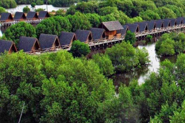 Wisata Taman Mangrove Garden Merauke