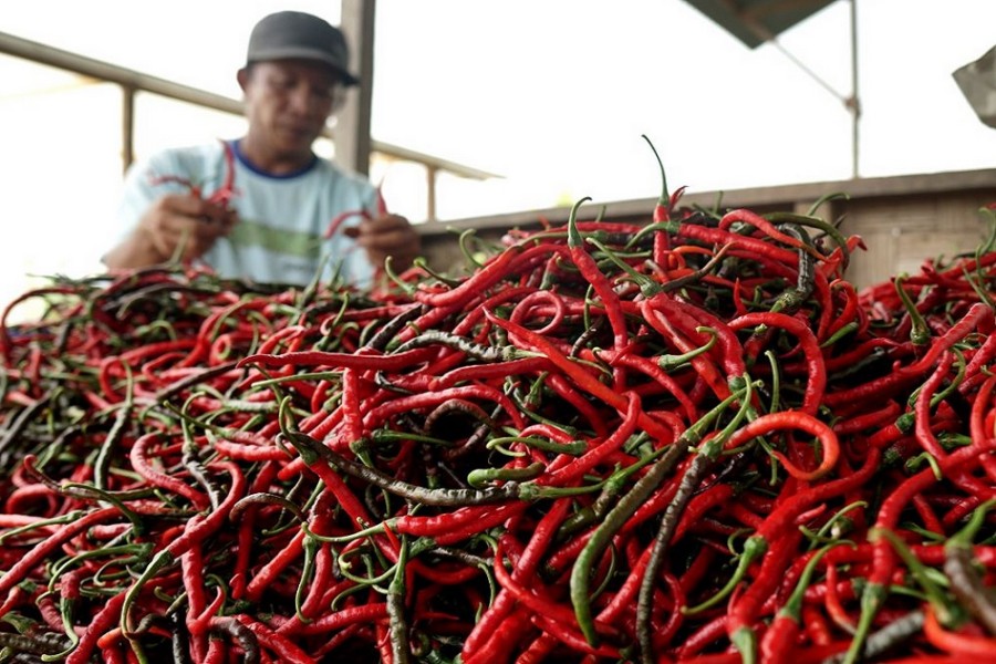Harga Pangan Turun Nasional, Cabai dan Beras Jadi Pendorong